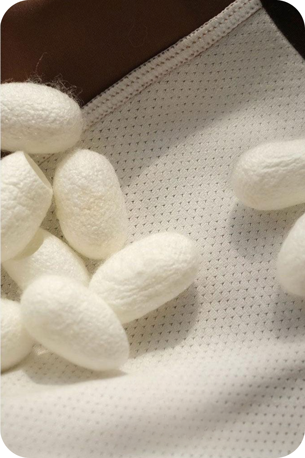 Fibra di seta di gelso naturale, materiale morbido e leggero per intimo uomo LOSA